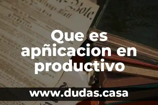 Que es apñicacion en productivo