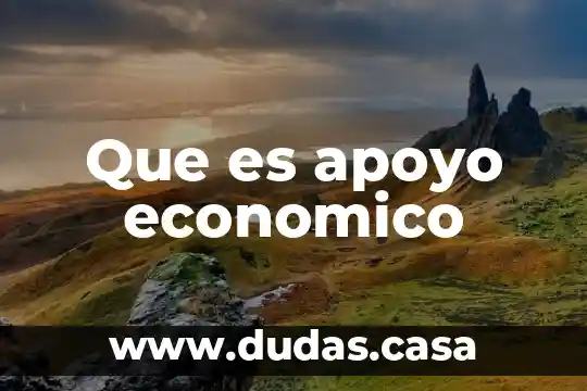 Que es apoyo economico