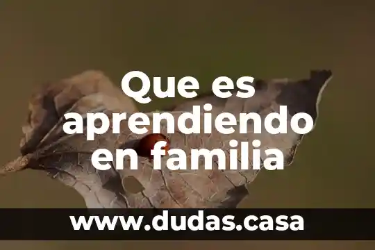 Que es aprendiendo en familia