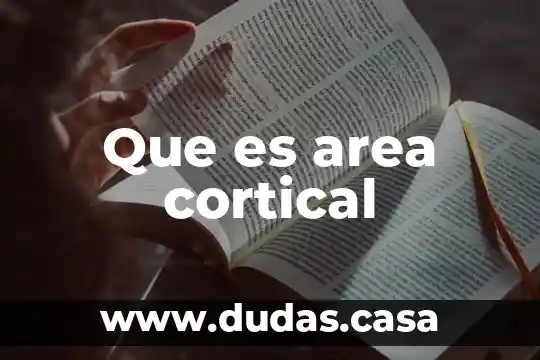 Que es area cortical