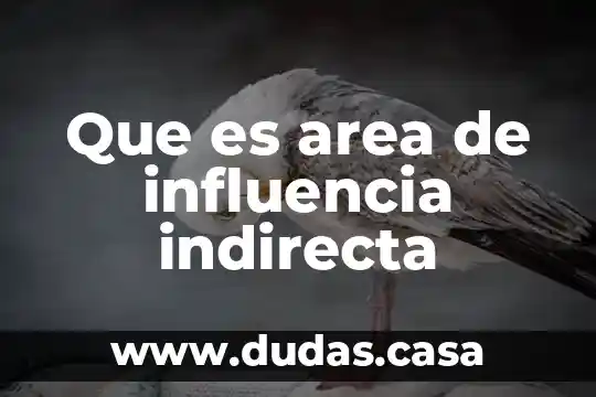 Que es una indirecta de amor 6 Que es area de influencia indirecta