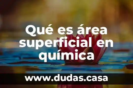 Qué es área superficial en química