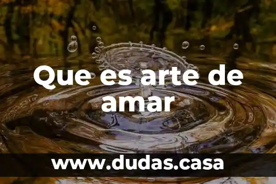 Que es arte de amar