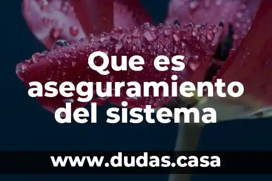 Que es aseguramiento del sistema