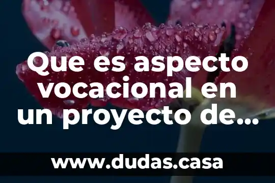 Que es aspecto vocacional en un proyecto de vida