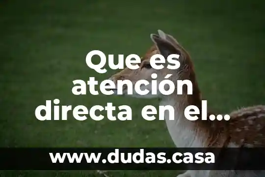 Que es atención directa en el ámbito escolar