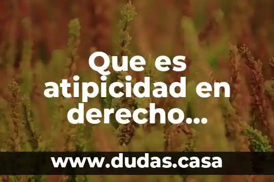 Que es atipicidad en derecho ejemplos