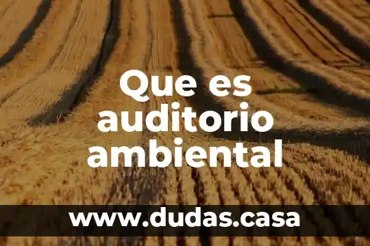 Que es auditorio ambiental