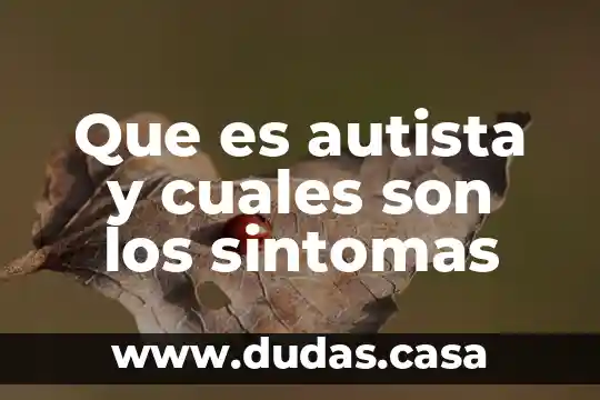 Que es autista y cuales son los sintomas