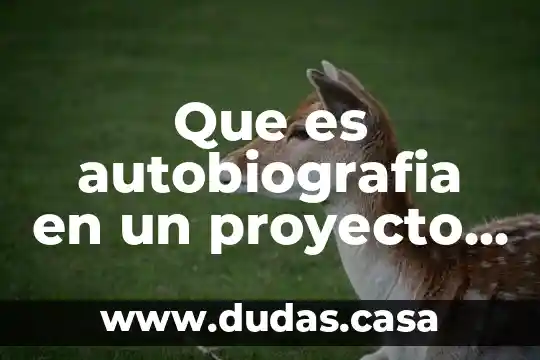 Que es autobiografia en un proyecto de vida