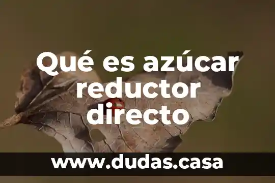 Qué es azúcar reductor directo