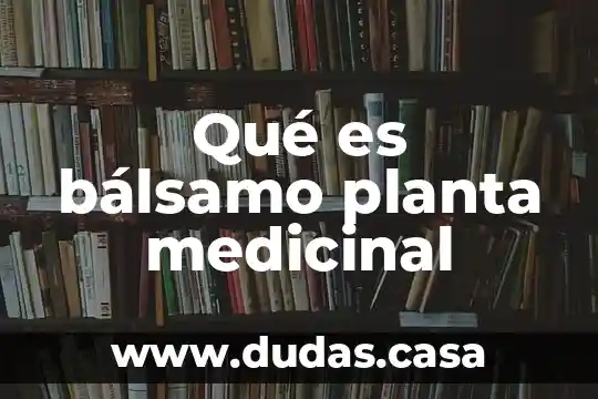 Qué es bálsamo planta medicinal