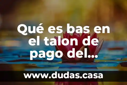 Qué es bas en el talon de pago del magisterio