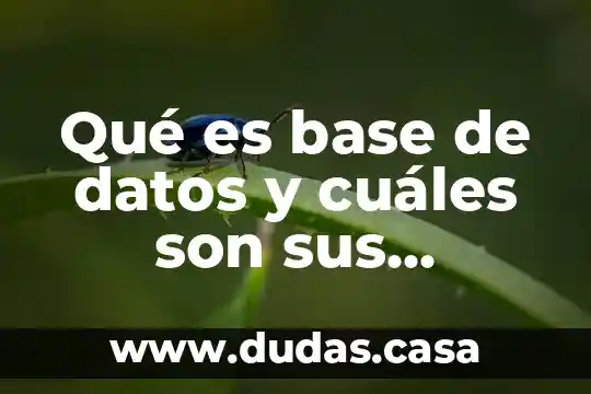 Qué es base de datos y cuáles son sus características