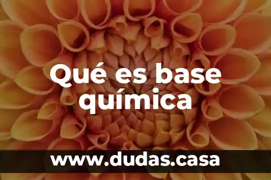 Qué es base química