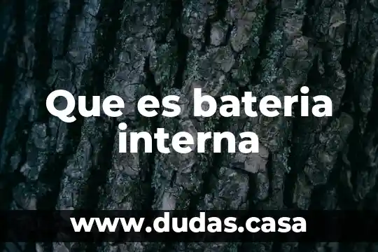 Que es bateria interna