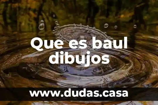 Que es baul dibujos