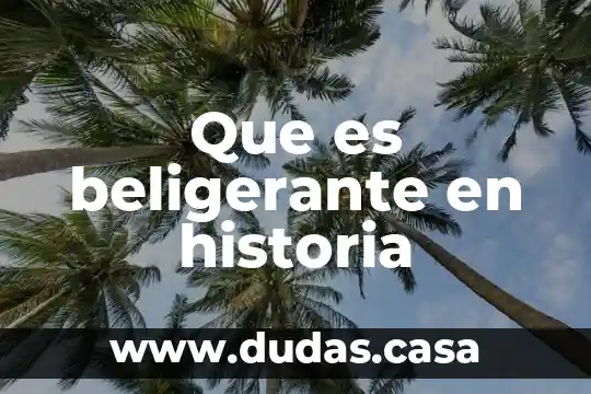 Que es beligerante en historia