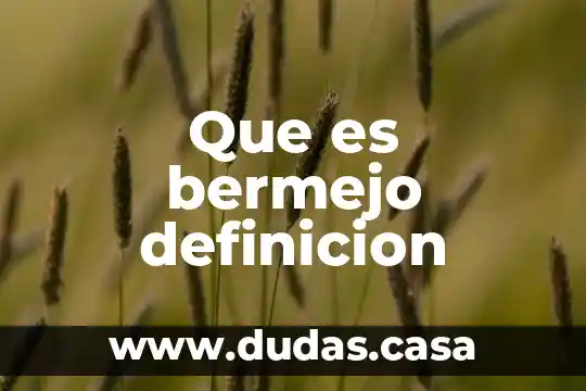 Que es bermejo definicion