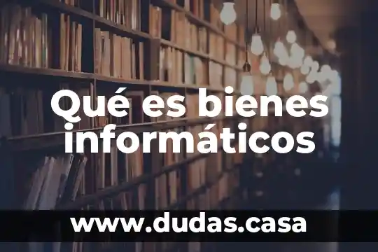 Qué es bienes informáticos