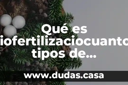 Qué es biofertilizaciocuantos tipos de fertilizantes hay y cuales son