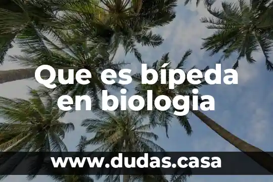 Que es bípeda en biologia