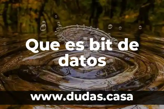 Que es bit de datos