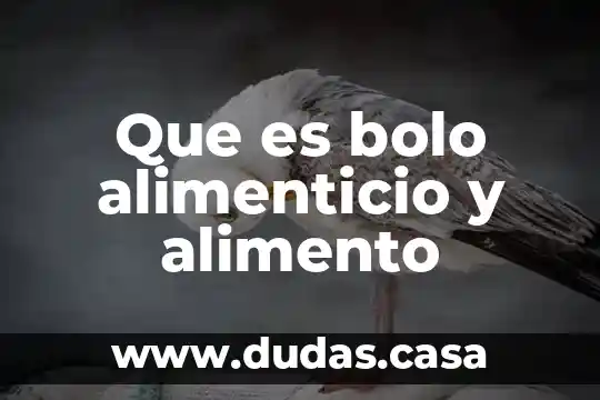 Que es bolo alimenticio y alimento