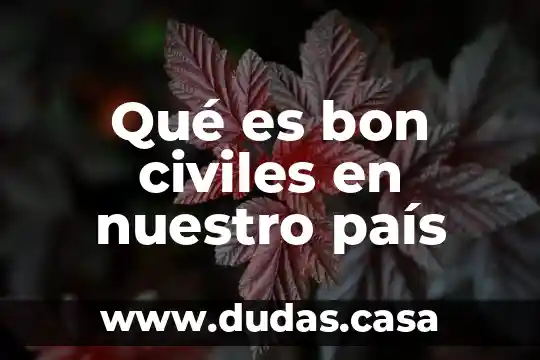 Qué es bon civiles en nuestro país