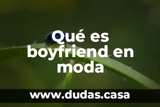 Qué es boyfriend en moda