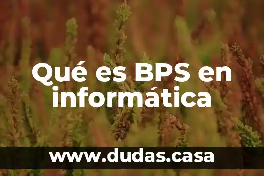 Qué es BPS en informática