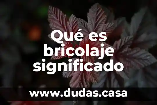 Qué es bricolaje significado