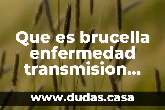 Que es brucella enfermedad transmision sexual
