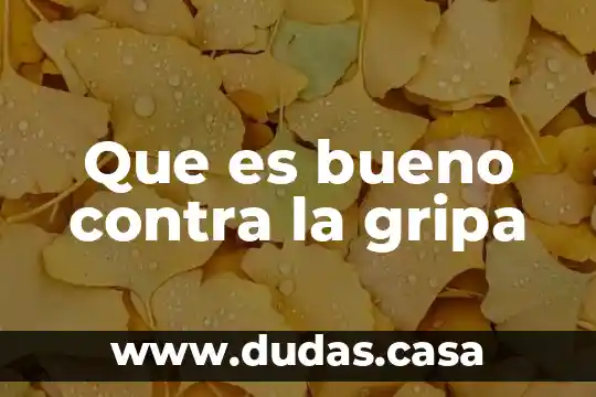 Que es bueno contra la gripa