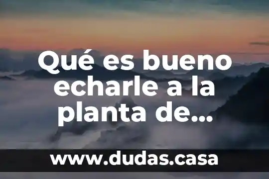 Qué es bueno echarle a la planta de marihuana