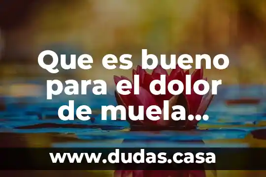 Que es bueno para el dolor de muela sedalmerck naproxeno