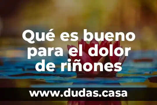 Qué es bueno para el dolor de riñones