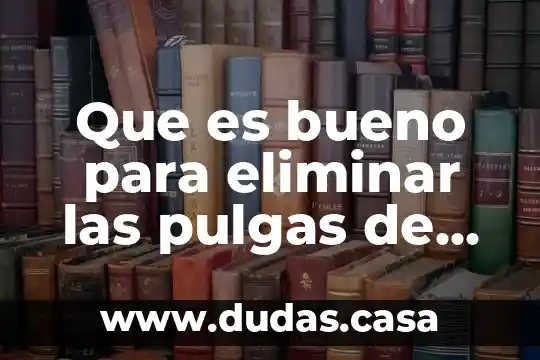 Que es bueno para eliminar las pulgas de los perros