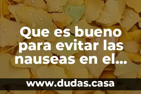 Que es bueno para evitar las nauseas en el embarazo