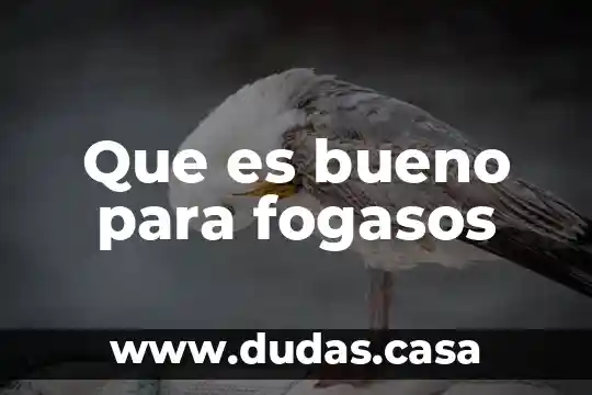 Que es bueno para fogasos