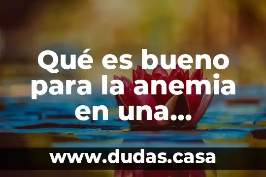 Qué es bueno para la anemia en una embarazada