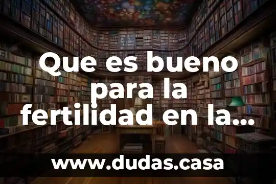 Que es bueno para la fertilidad en la mujer