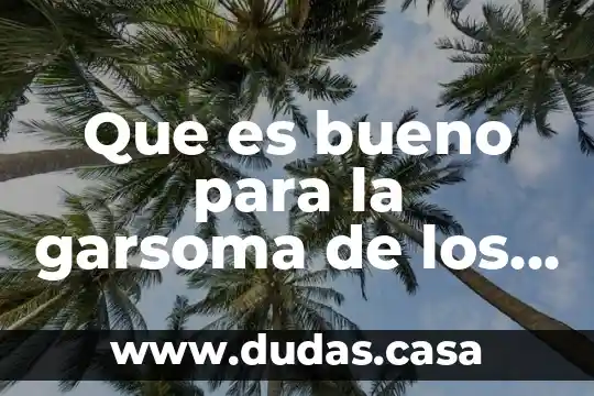 Que es bueno para la garsoma de los gallos