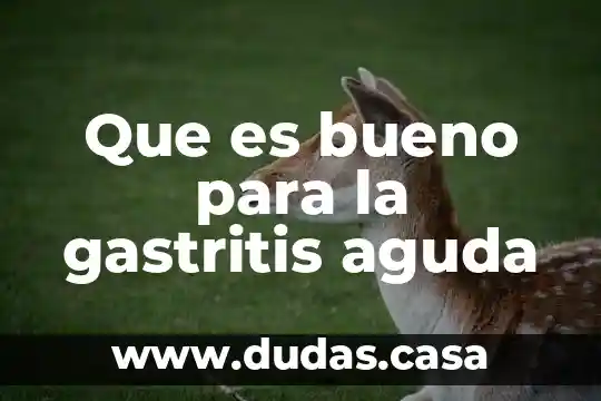Que es bueno para la gastritis aguda
