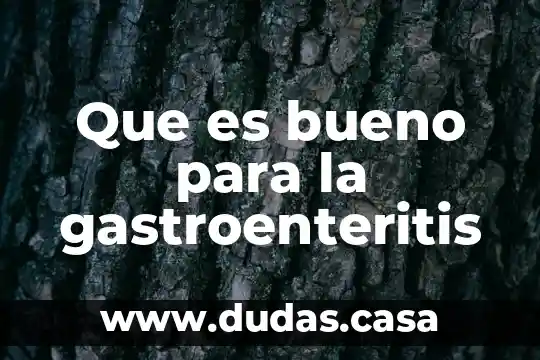 Que es bueno para la gastroenteritis
