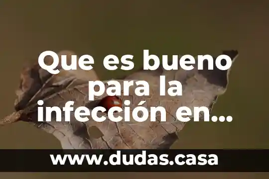 Que es bueno para la infección en las vias urinarias