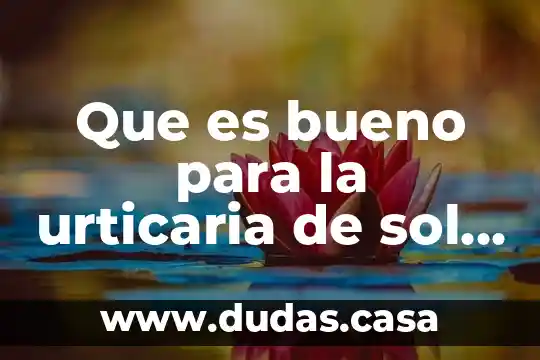 Que es bueno para la urticaria de sol y agua