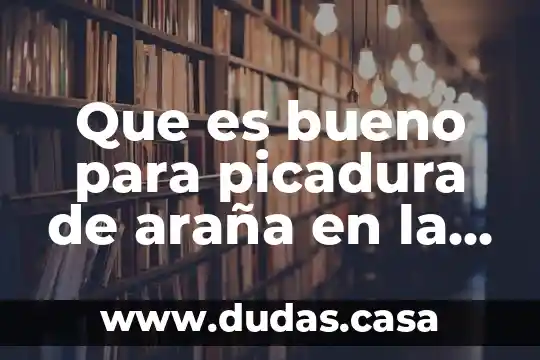 Que es bueno para picadura de araña en la boca