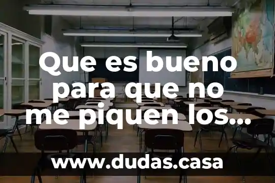 Que es bueno para que no me piquen los jejenes