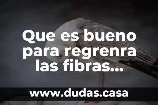 Que es bueno para regrenra las fibras musculares